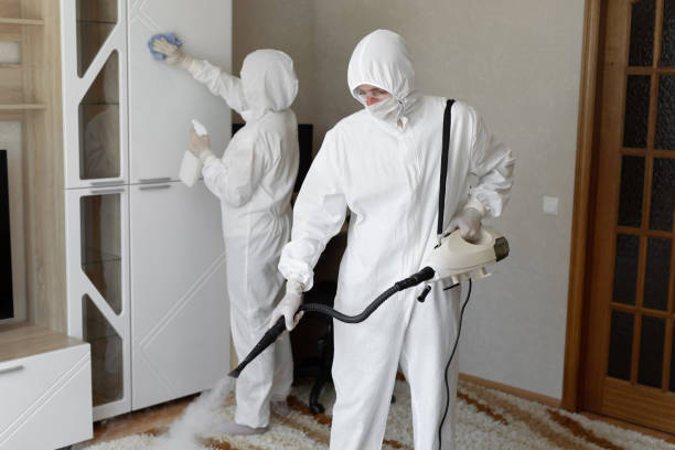 Crawl Space Mold Removal in Marion, IN