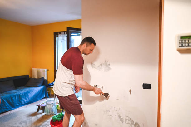 Best Best Mold Removal Companies  in Marion, IN